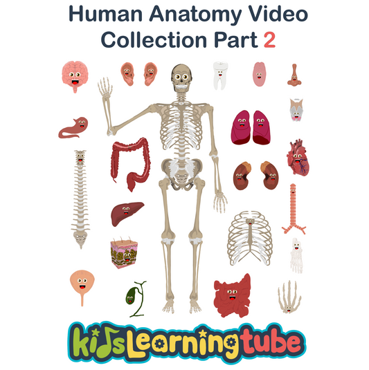 The Human Body Video Collection 2
