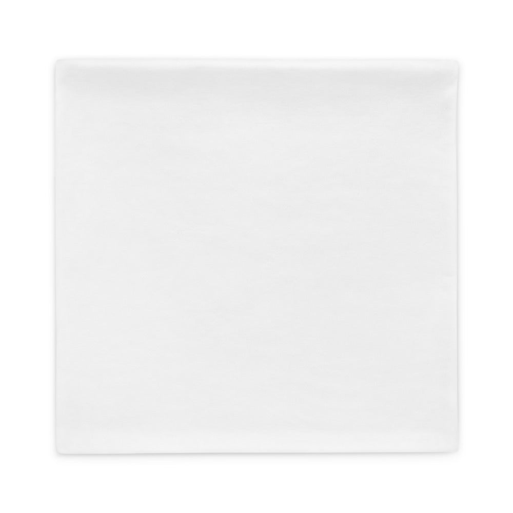 50 States - Pillow Case
