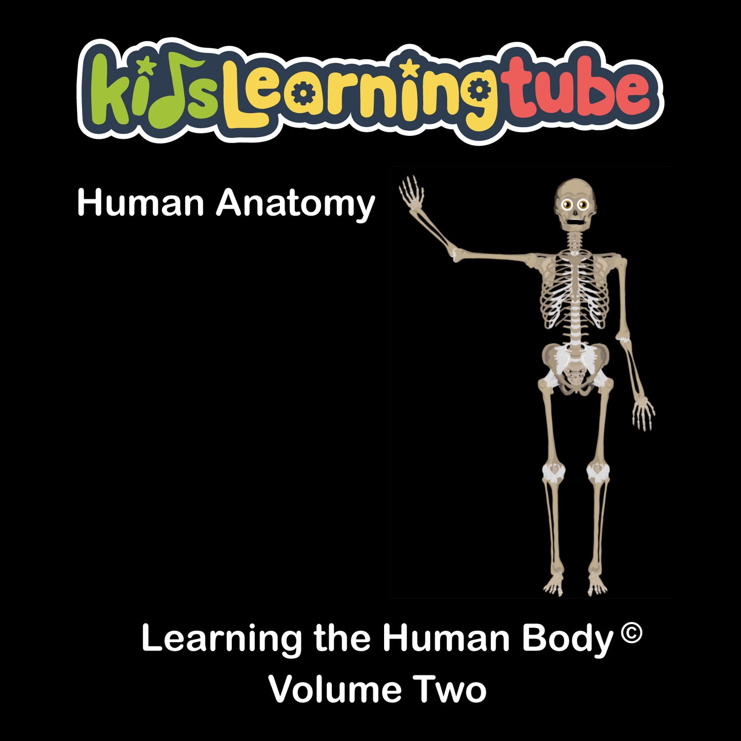 Human Anatomy-Learning the Human Body - Volume II Digital Album