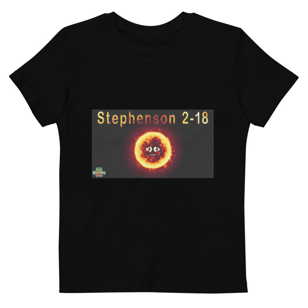 Stephenson-Organic cotton kids t-shirt