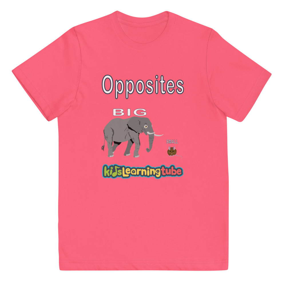 Opposites - Youth jersey t-shirt